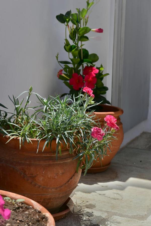 Feel At Home - Family House In Hydra מראה חיצוני תמונה